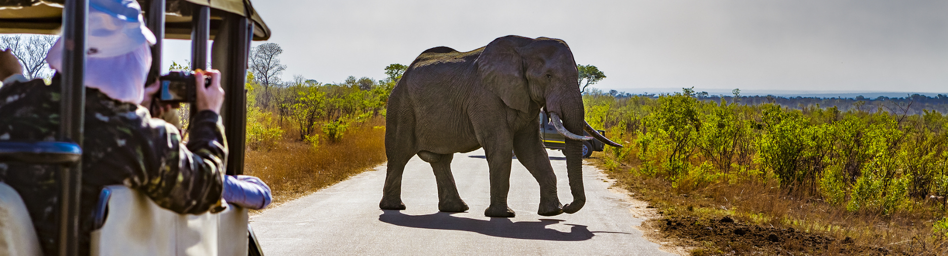 Groepsreizen in het najaar