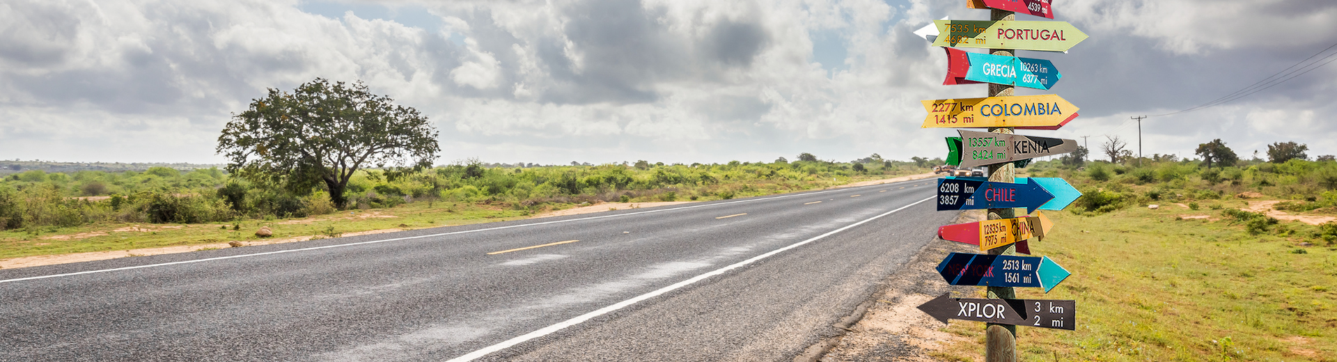 Koning Aap Inspiratiedag