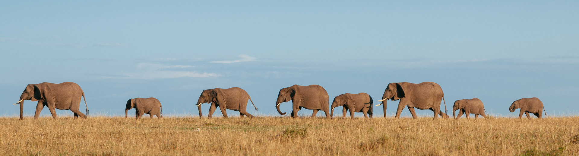 5 hoogtepunten van een reis door Zuidelijk Afrika