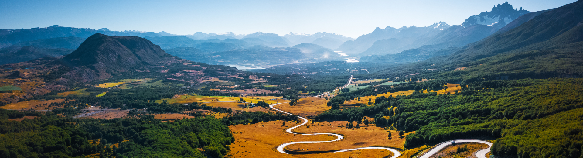 Redenen om voor Koning Aap te kiezen