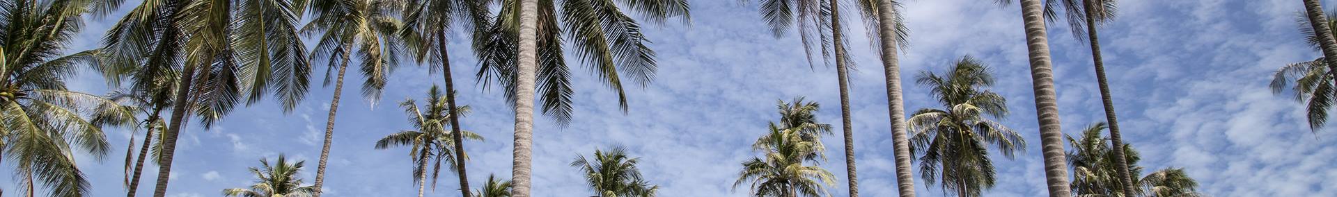 De mooiste reisherinnering van...