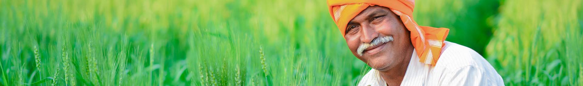 De vele gezichten van India