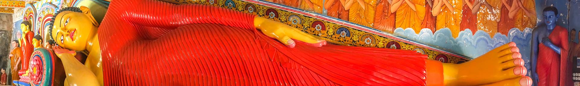 Op familiereis door Sri Lanka