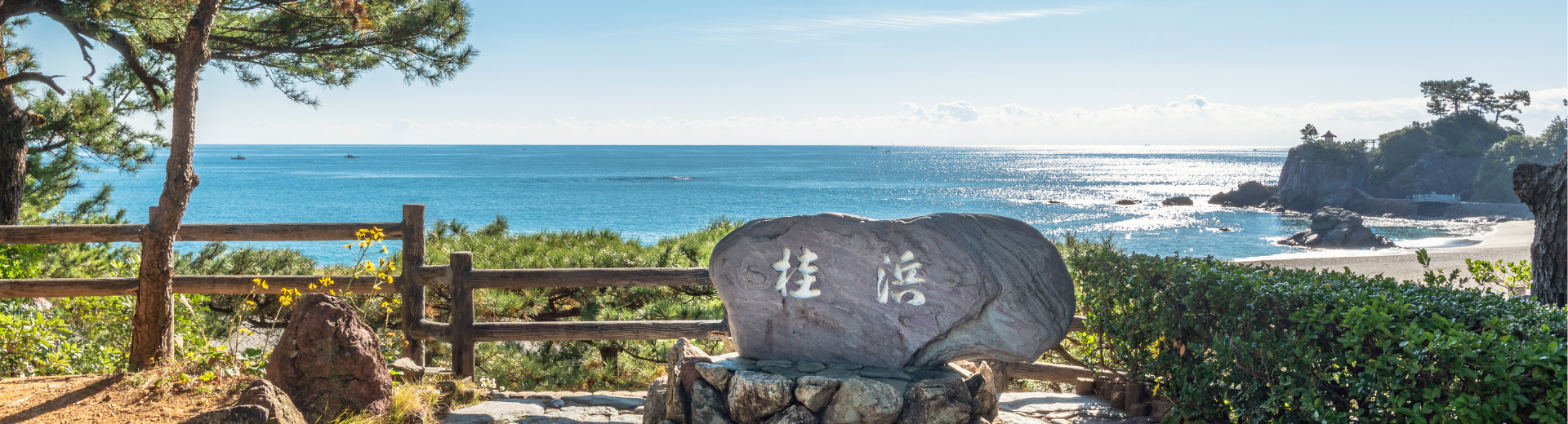 Interview met reisbegeleider Japan