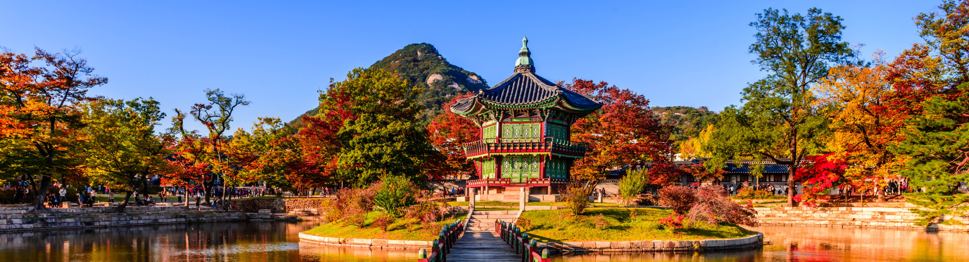 Interview reisbegeleider Zuid Korea