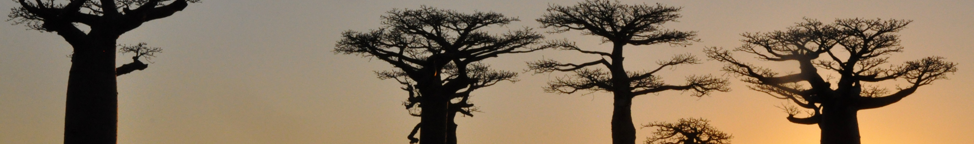 Resultaten klanten enquete duurzaamheid