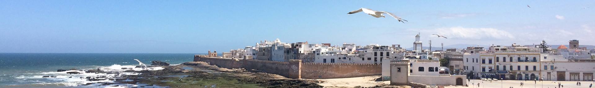 Interview Mirjan van Vuren