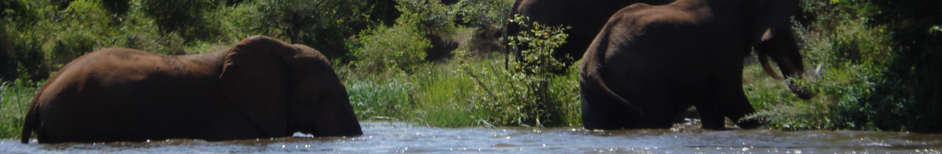 De mooiste reisherinnering van...