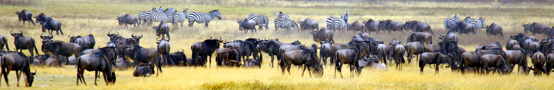 De mooiste reisherinnering van...