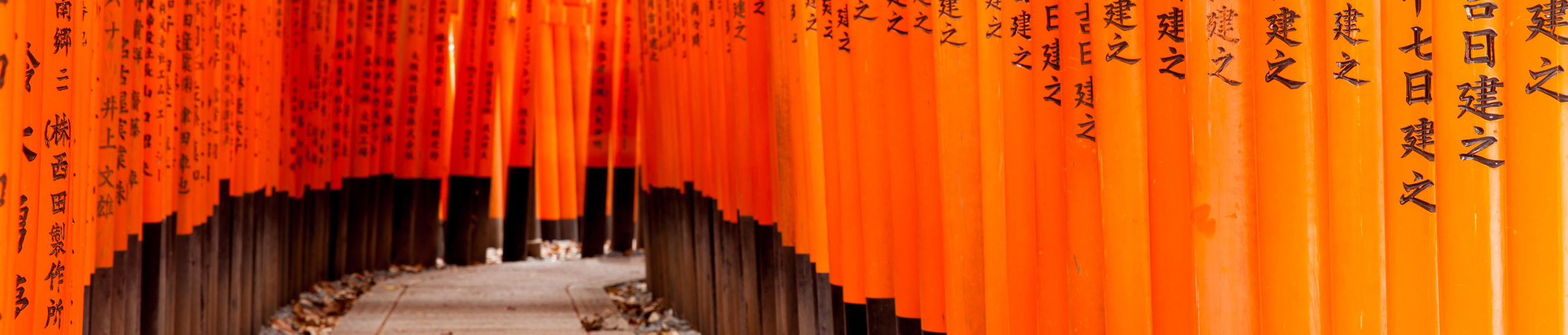Japan reizen | Rondreis Japan | Koning Aap