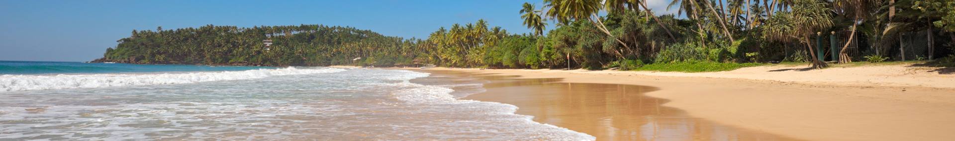 Sri Lanka reisplannen? Dit móet je zien!