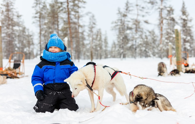 Online bestellen: Familiereis FINLAND: LAPLAND - 7 dagen; Winters noorden