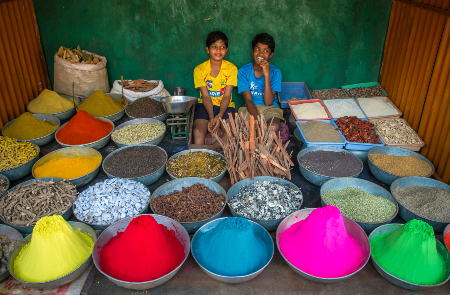 Online bestellen: Rondreis ZUID-INDIA - 30 dagen; Rijkdom van geuren en kleuren