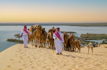 Online bestellen: Rondreis SAOEDI-ARABIË, QATAR & BAHREIN - 15 dagen; Van de Rode Zee naar de Perzische Golf