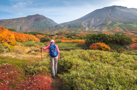 Online bestellen: Rondreis JAPAN: HOKKAIDO - 15 dagen; Noordelijke natuurpracht