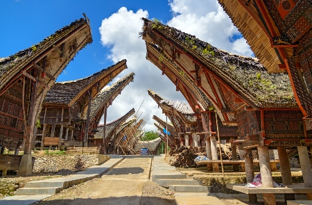 Rondreis INDONESIË: SULAWESI & DE MOLUKKEN - 23 dagen; Tau-tau, specerijen en bentors